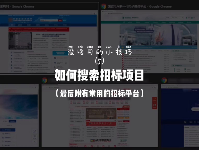 第5集：如何搜索招标项目？