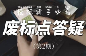 投标废标点答疑第2期