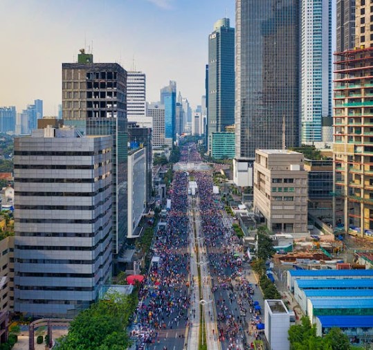 招投标市场风向标